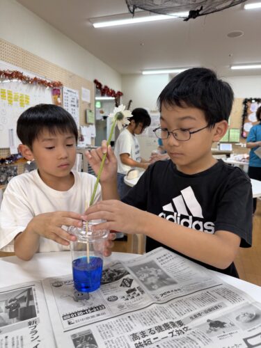 春日井の学童保育かちがわの杜で広がる交流と成長：異学年の関わりが育む子どもの絆