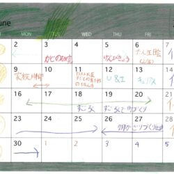 6月の杜の時間カレンダー公開しました！